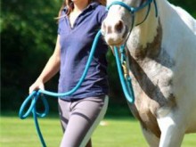 Equitopassion04 - école d'équitation