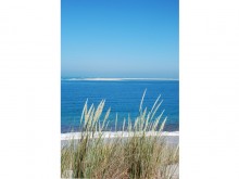 Plage Du Petit Nice "handi Cap Océan"  Pyla-sur-mer