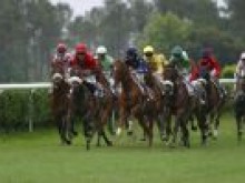 Hippodrome De Dax  Saint-paul-les-dax