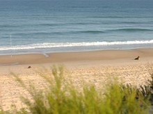 Plage Remember  Mimizan