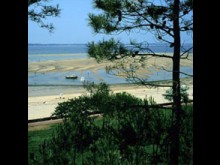 Club les P'tits Loups