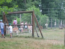 La Pêcherie D'aurit Et L'arche D'olivier  Hagetaubin