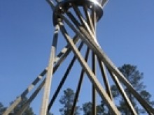 La Forêt D'art Contemporain  Arue