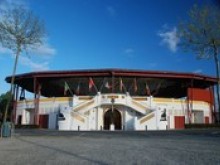 La Mecque De La Course Landaise  Pomarez