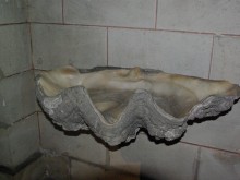 Eglise Saint-Vincent de Paul d'Arès