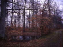 La Mare Au Diable  Mers-sur-indre