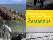 Présentation Du Catalogue D’exposition « Le Fil De L’eau, Le Fil Du Temps En Camargue »  Arles