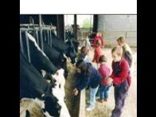 La Ferme De Fontland  Vasselay