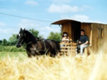 Les Attelages De La Vallée Noire  Saint-août