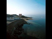 conserverie de poisson