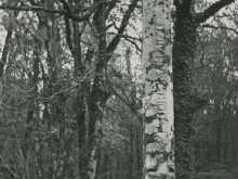 Fontaine Et Calvaire De Saint-conval  Hanvec