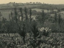 Manoir De Tromelin  Plougasnou