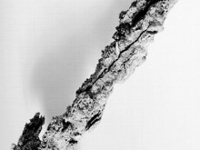 Cité Gréco-romaine D' Olbia-pomponiana  Hyeres-les-palmiers