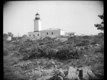 Phare Du Cap Camarat  Ramatuelle