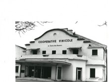 Coopérative Vinicole  Noves