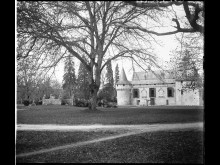 Château D'olivier  Léognan
