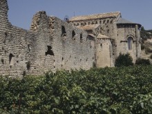 Abbaye de Fontcaude (ancienne)