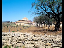 Ensemble Agricole Dit Domaine De Roquessol  Pézenas