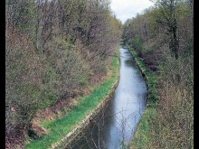 bief dit tranchée d'Augy (canal de Berry)