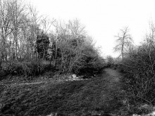 Edifice Non Identifié  Bussy