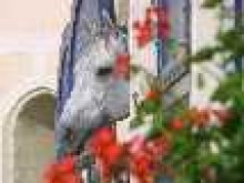 Haras National Du Lion D'angers  Le Lion-d'angers