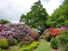 Les Jardins Des Renaudies  Colombiers-du-plessis