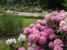 Jardin D'horticulture  Le Mans
