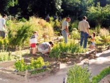LE JARDIN MEDIEVAL DE LA CHEVALERIE DE SACE