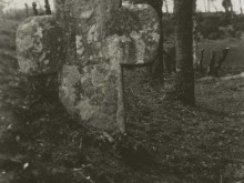 Croix De L'etang  Caro