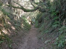 Chemin Moteux  Erquy