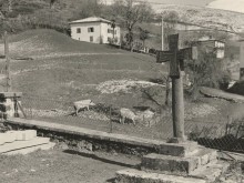 Croix De Cimetière  Hosta