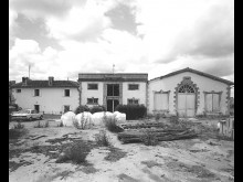 Distillerie D'eaux-de-vie De Cognac Dodart  Bougneau