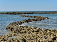Ecluses à Poissons Des Sables-vignier  Saint-georges-d'oléron
