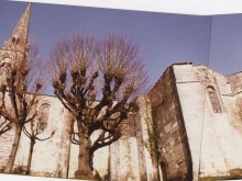 Eglise Saint-etienne  Mortagne-sur-gironde