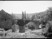 Vieux Pont De Trèves 