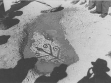 Jardin De La Fontaine  Nîmes