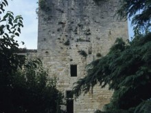 Ruines Du Château  Montclus