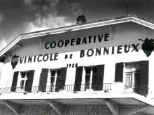 coopérative vinicole