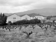 Coopérative Vinicole Les Vignerons Du Ventoux  Bédoin