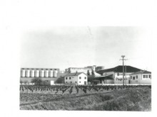 Coopérative Vinicole Dite Cave Des Vignerons Réunis  Sainte-cécile-les-vignes