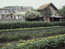 Pavillon De Jardin Dit Cabanon  Cavaillon