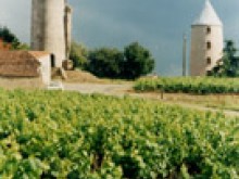 Le Moulin Du Pe  Le Loroux-bottereau