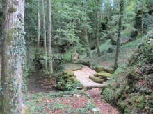 Domaine De La Serrée  Mesmont