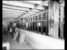 Grange, étable  Concremiers