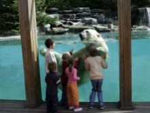 Parc Zoologique De La Fleche  La Flèche