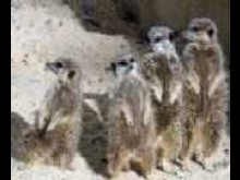 PARC ZOOLOGIQUE ET PAYSAGER