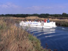 LES SALINES