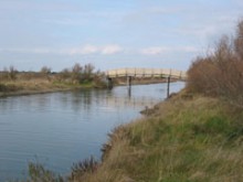Le Marais Du Pays Des Olonnes  L'ile-d'olonne