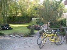 Le Marais Poitevin  Maillezais