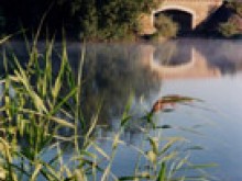 Les Marais De Goulaine  Le Loroux-bottereau